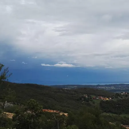 Verde Oasi 1
